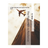 The Flight Path to Resilience: A Flight Attendant Story