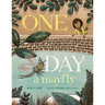 One Day a Mayfly