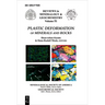 Plastic Deformation of Minerals and Rocks