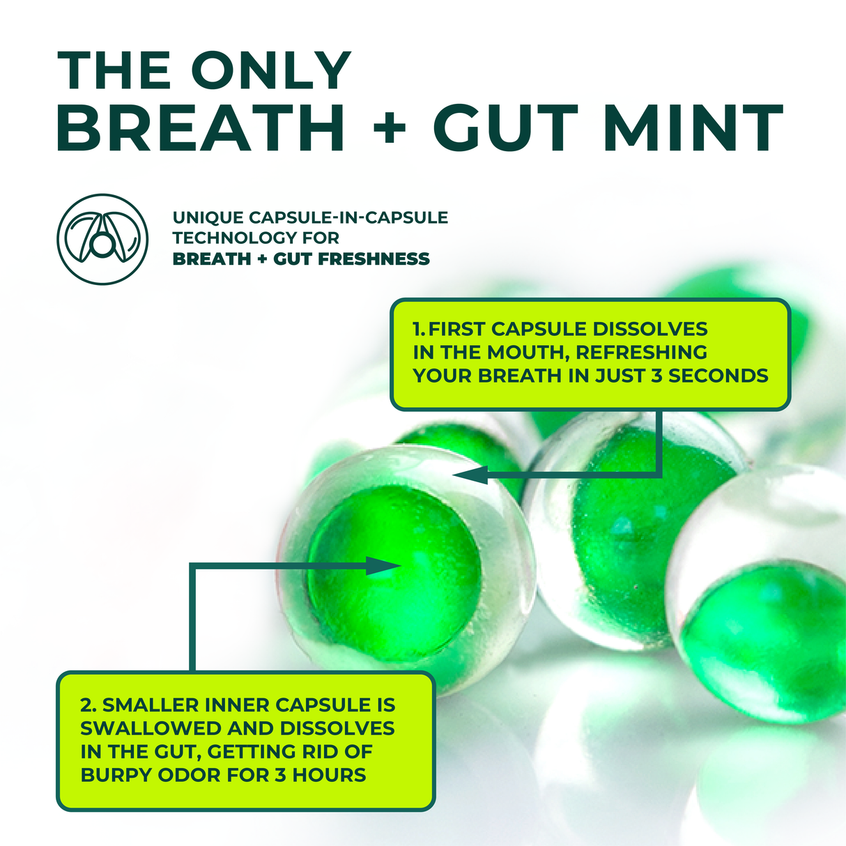 Dual Action Liquid Mint Capsules - Sexy Spearmint (Flavor) by NUDE MINTS