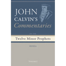 Commentaries on the Twelve Minor Prophets, Volume 1
