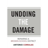 Undoing the Damage: Repairing a Broken School District