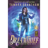 Dreamthief: An Urban Fantasy Fairy Tale