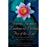 Healing Negative Emotions & Getting Free of the Ego with Essential Oils & Recipes to Use
