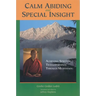 Calm Abiding and Special Insight: Achieving Spiritual Transformation Through Meditation
