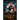 Shadow Thief