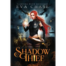 Shadow Thief