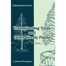 Transplanting Trees and Other Woody Plants