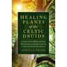 Healing Plants of the Celtic Druids: Ancient Celts in Britain and Their Druid Healers Used Plant Medicine to Treat the Mind, Body and Soul
