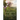 Fragments From Holy Ground