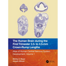 The Human Brain During the First Trimester 3.5- To 4.5-MM Crown-Rump Lengths: Atlas of Human Central Nervous System Development, Volume 1
