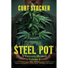 Steel Pot: A Vietnam Memoir Volume 1
