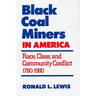 Black Coal Miners in America: Race, Class, and Community Conflict, 1780-1980