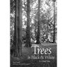 Trees in Black & White: A Visual Tour