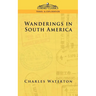 Wanderings in South America