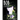 Bob: A Cat with Four Ears Who Thinks He Is a Dog