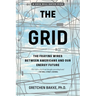 The Grid: The Fraying Wires Between Americans and Our Energy Future
