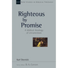 Righteous by Promise: A Biblical Theology of Circumcision