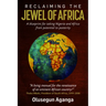 Reclaiming the Jewel of Africa: A Blueprint for Taking Nigeria and Africa from Potential to Posterity