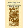 White Servitude in the Colony of Virginia: A Study of the System of Indentured Labor in the American Colonies