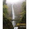 Agile Software: Patterns of Practice