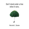 Don't Stand Under a Tree When It Rains