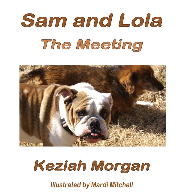 Sam and Lola: The Meeting - Hardcover by Books by splitShops