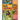 Black Girls Gardening: Empowering Stories and Garden Wisdom for Healing and Flourishing in Nature