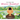 Where Is the Buddha?