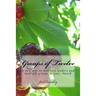 Groups of Twelve: A new way to mobilize leaders and multiply groups in your chur