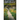 Countryside Rambles