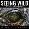 Seeing Wild: Wildlife Photography