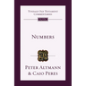 Numbers: An Introduction and Commentary