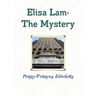 Elisa Lam- The Mystery