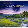 Portrait of Palm Springs