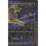 Password Keeper: Leo Constellation