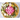 Keto Like a Chef: Showstopping Recipes for Your Keto Table