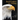 Bald Eagles in Alaska