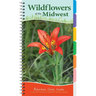 Wildflowers of the Midwest: Your Way to Easily Identify Wildflowers