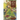 The Druidcraft Tarot