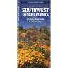 Southwestern Desert Plants: An Introduction to Familiar Species