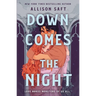 Down Comes the Night
