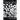 Quantum Ghosts