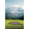Mountain or Molehill, Your Choice: Change your marriage outlook with forgiveness and humor!