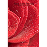Red Rose Petals - A Poetry Collection