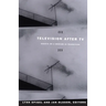 Television after TV: Essays on a Medium in Transition