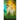 The Collector's Treasure