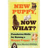New Puppy, Now What? Foundation Skills for Raising a Happy Puppy