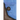 A Living is Not a Life: A Working Title
