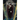 Nosferatu